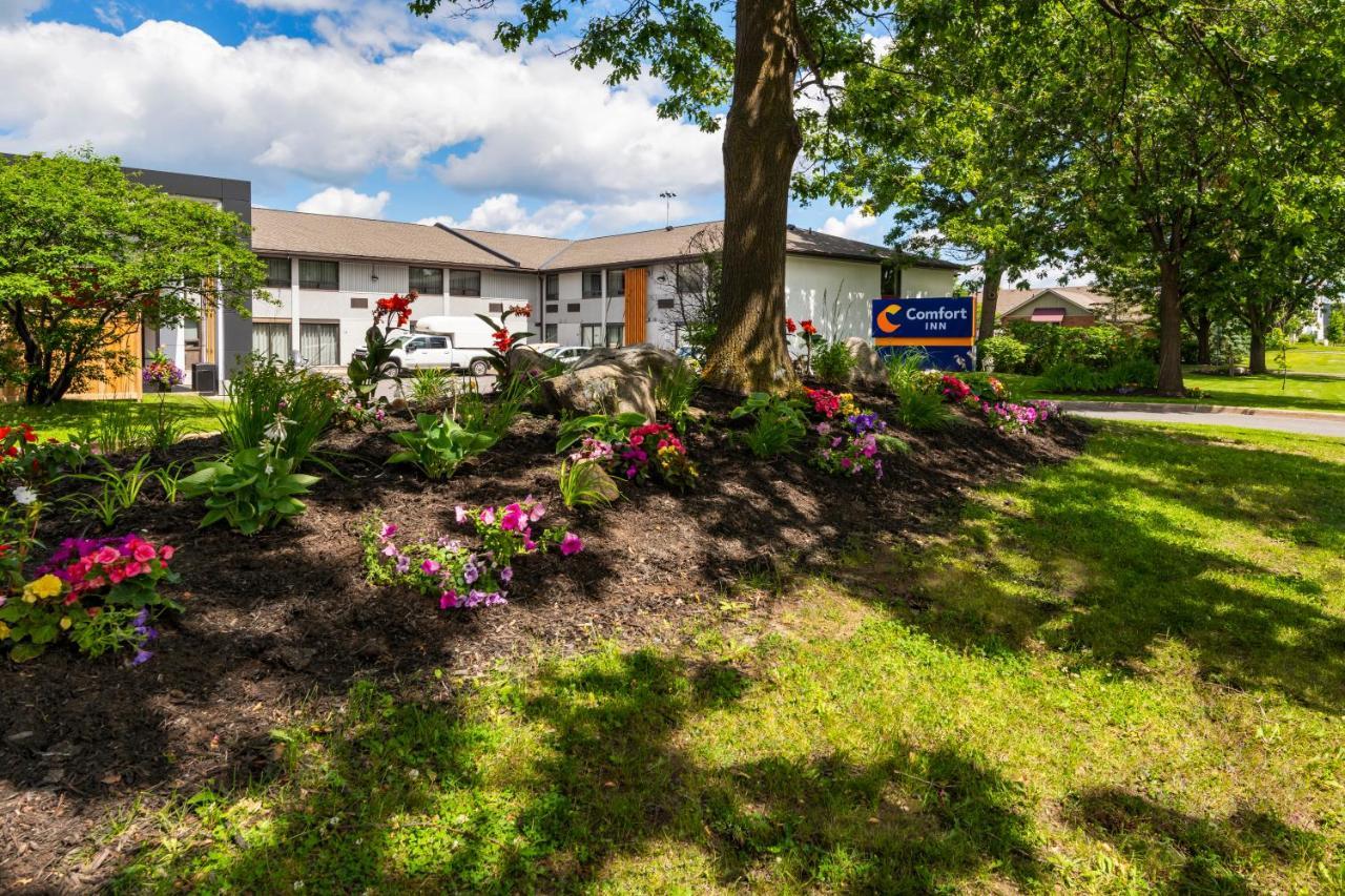 Comfort Inn West Otawa Exterior foto